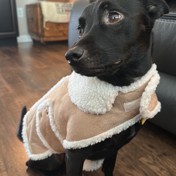 Dog coat Faux Sherpa M - Picture 6 of 10